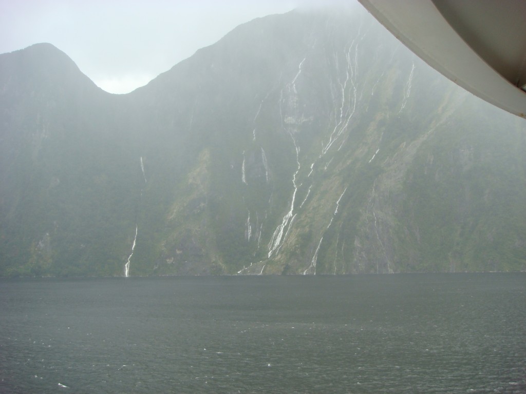 Early morning cruising into Milford Sound, NZ