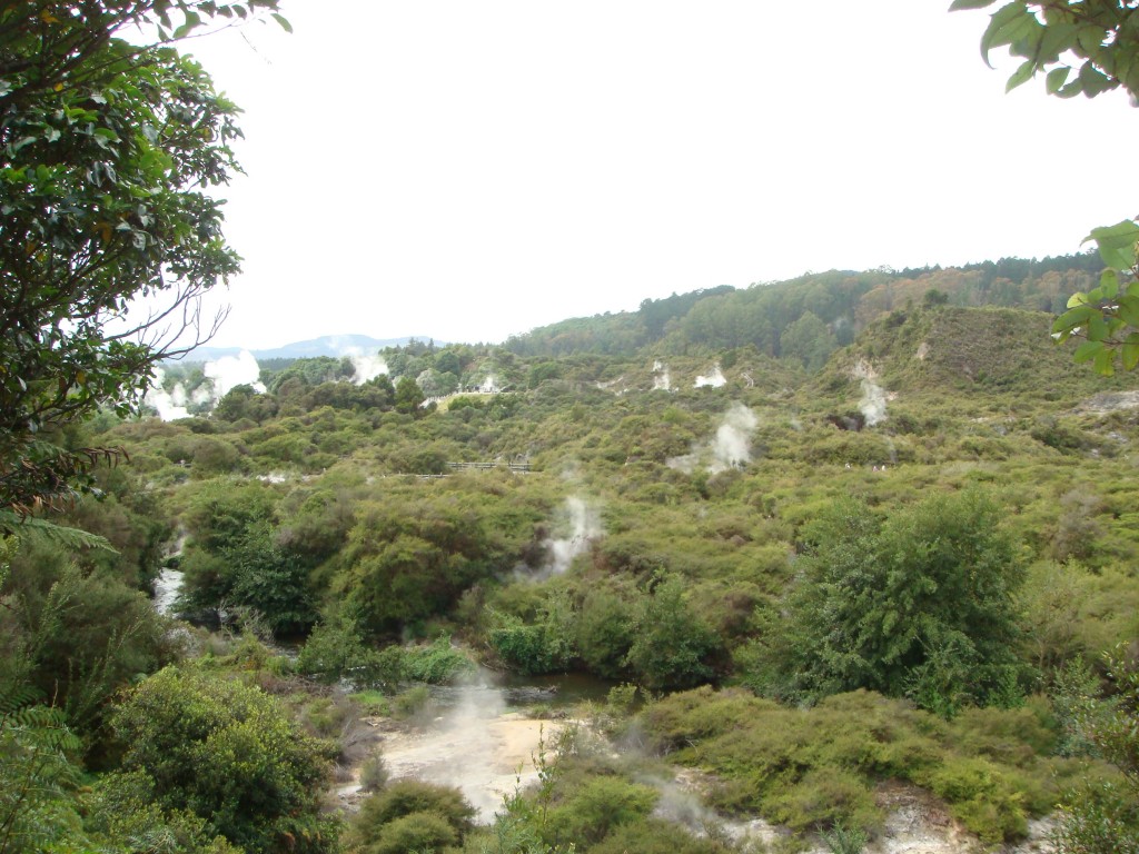 Field of steaming vents, Rotorua, NZ 2009.
