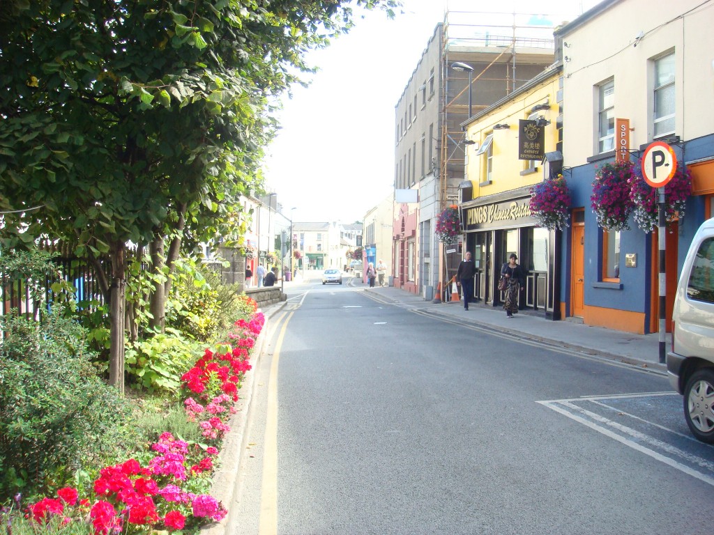 Wicklow, Ireland.  2011