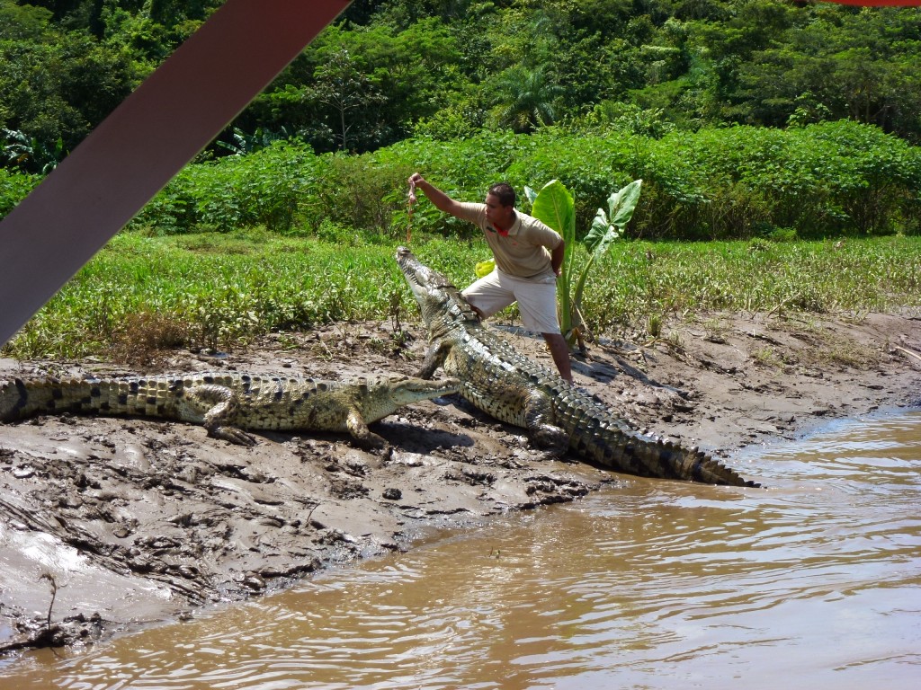 Seems like a pretty risky job to me, Costa Rica.  2012