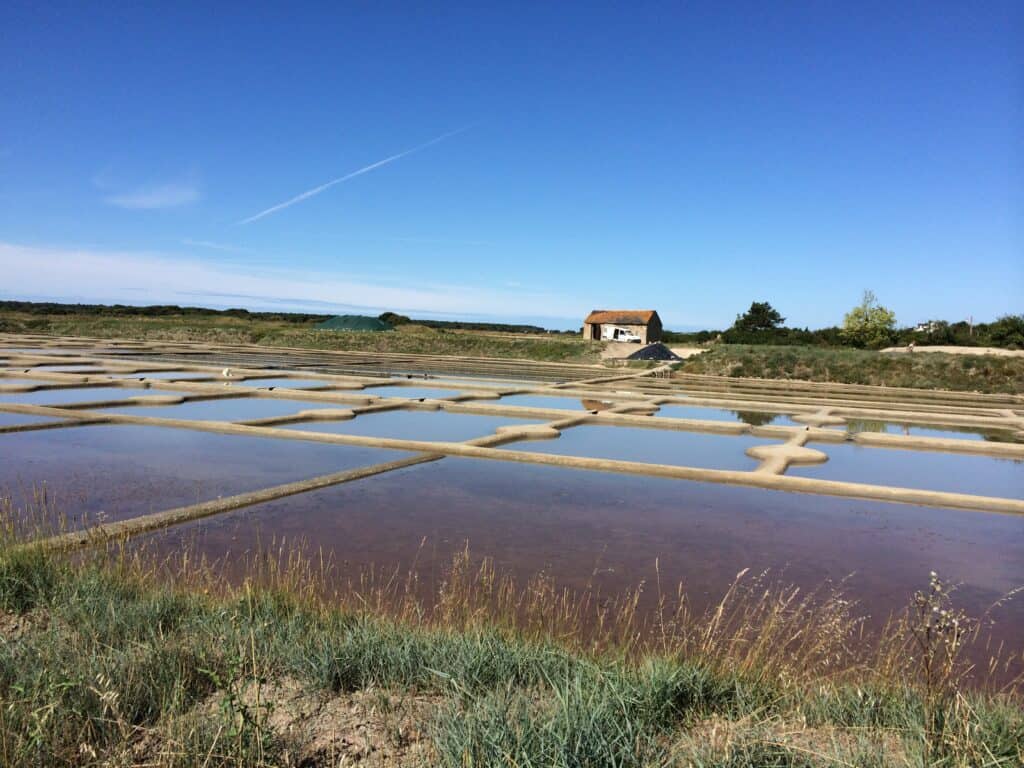 The salt farms of the Guerande, Liore, France.  2014 