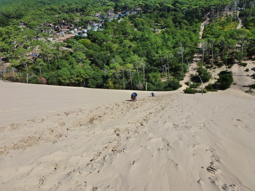 These guys made Pam's day, they were crawling. At least we managed to stay upright, Dune du Pilat.  France. 2014