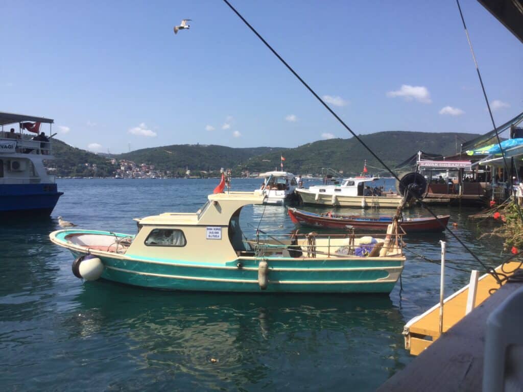 We lunch at Anadolu Kavagi a little village on the Asian side of the Bosphorus.